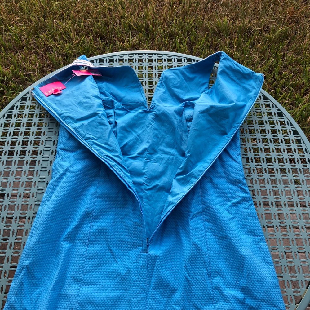 Lilly Pulitzer Light Blue Mini Dress with White Embroidered Yoke - Picture 8 of 8